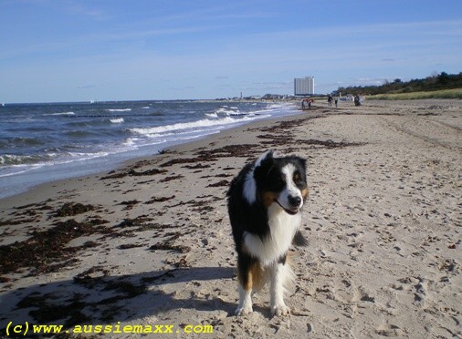 Ostsee1