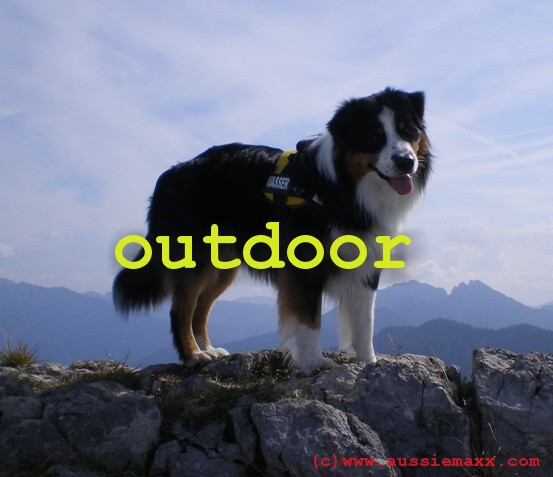 outdoorlinkpic