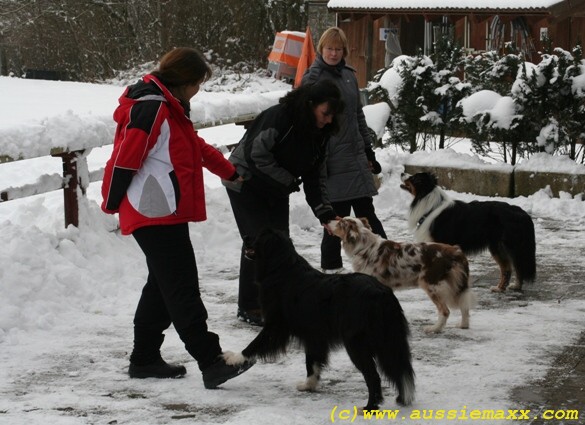 Schneetanz1