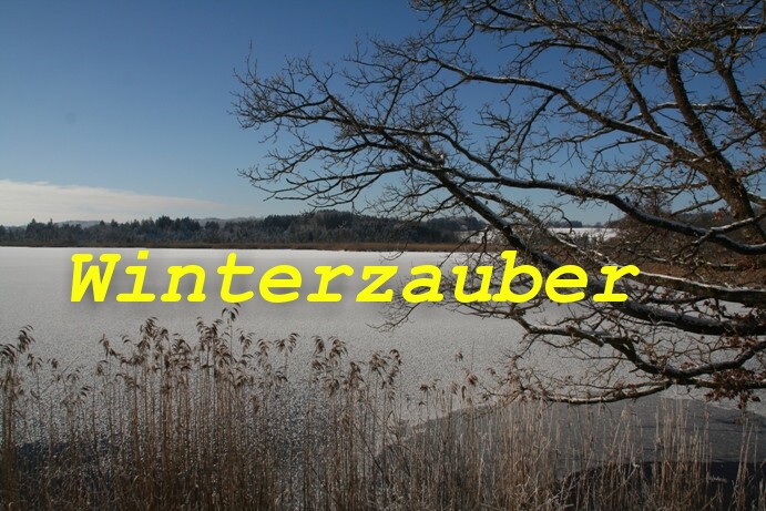Winterz