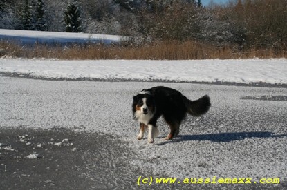 Maisingersee3