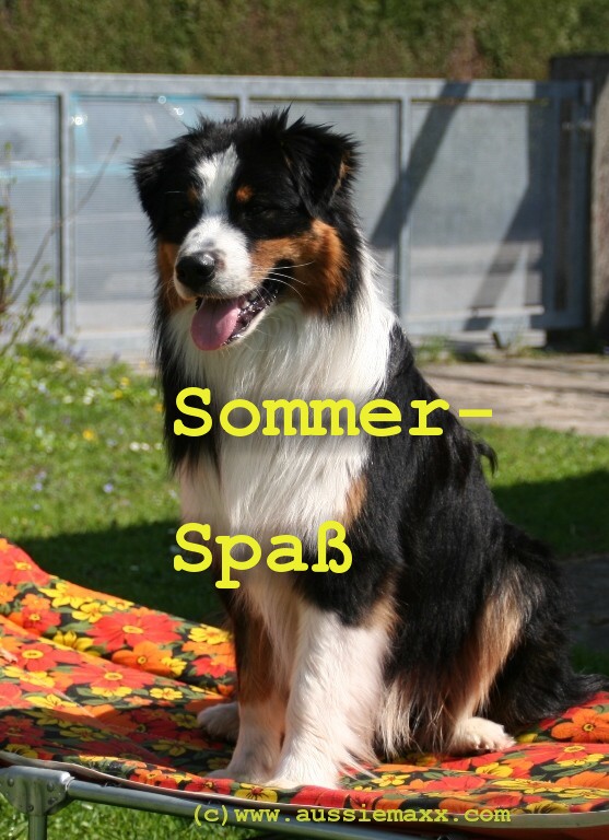 sommerspass