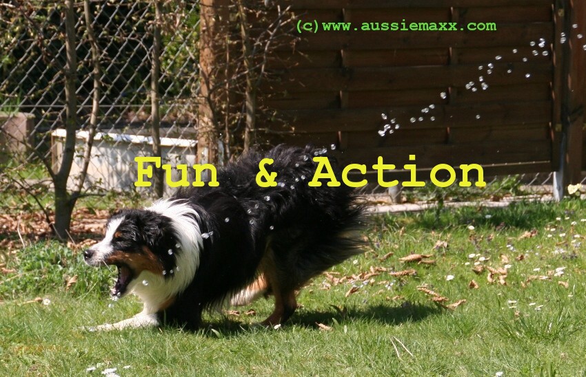 funaction